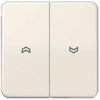 Лицевая панель Jung CD500 для 2-кл. выключателя жалюзи слоноаая кость картинка